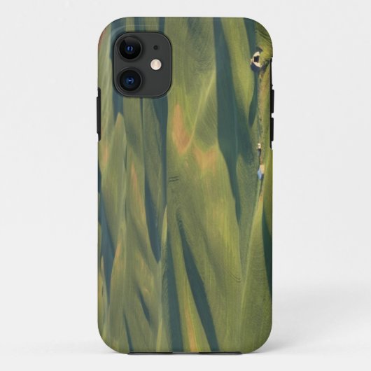 VS, WA, Whitman Co., Palouse akkers vanuit Case-Mate iPhone Case (Achterkant)