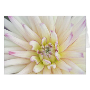 VS, Washington, Bellevue, Bellevue Botanical 2