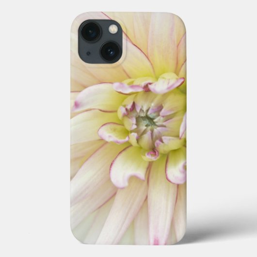 VS, Washington, Bellevue, Bellevue Botanical 2 Case-Mate iPhone Case (Achterkant)
