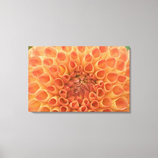 VS, Washington, Bellevue, Bellevue Botanical 3 Canvas Afdruk (Voorkant)