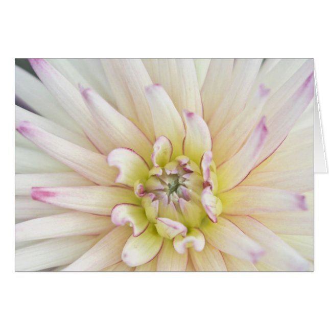 VS, Washington, Bellevue, Bellevue Botanische 2 (Voorkant Horizontaal)