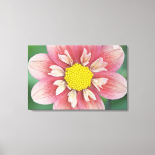 VS, Washington, Bellevue, Bellevue Botanische tuin Canvas Afdruk