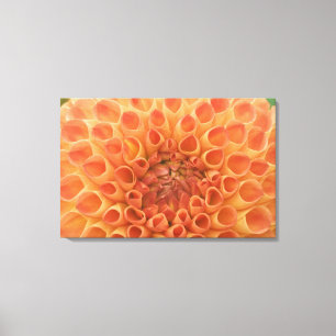 VS, Washington, Bellevue, Bellevue Botanische tuin Canvas Afdruk