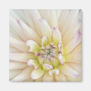 VS, Washington, Bellevue, Bellevue Botanische tuin Magneet