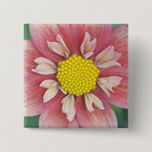 VS, Washington, Bellevue, Bellevue Botanische Vierkante Button 5,1 Cm (Voorkant)