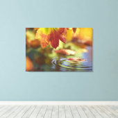 VS, Washington, Bellingham, Close-up van herfst Canvas Afdruk (Insitu (Houten vloer))
