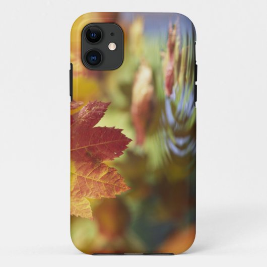VS, Washington, Bellingham, Close-up van herfst Case-Mate iPhone Case (Achterkant)