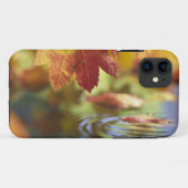 VS, Washington, Bellingham, Close-up van herfst Case-Mate iPhone Case (Achterkant (horizontaal))
