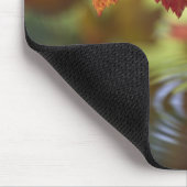 VS, Washington, Bellingham, Close-up van herfst Muismat (Hoek)