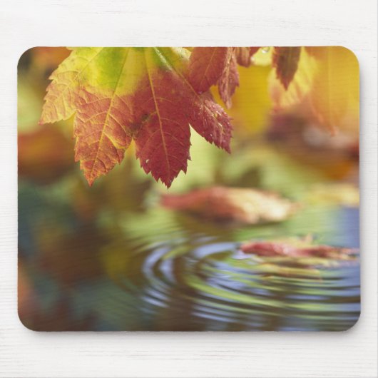 VS, Washington, Bellingham, Close-up van herfst Muismat (Voorkant)