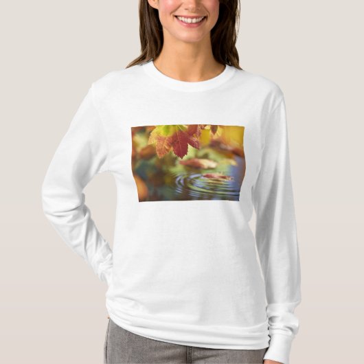 VS, Washington, Bellingham, Close-up van herfst T-shirt (Voorkant)