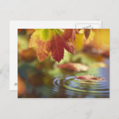 VS, Washington, Bellingham, Sluiting van de herfst Briefkaart (Voorkant / Achterkant)