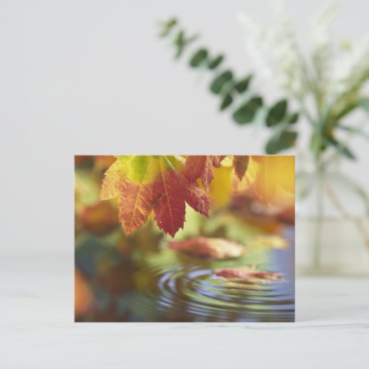 VS, Washington, Bellingham, Sluiting van de herfst Briefkaart (Staand voorkant)