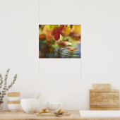 VS, Washington, Bellingham, Sluiting van de herfst Poster (Keuken)