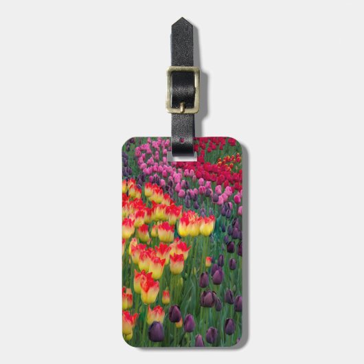 VS, Washington. Bloeiende tulpen 2 Bagagelabel (Voorkant verticaal)