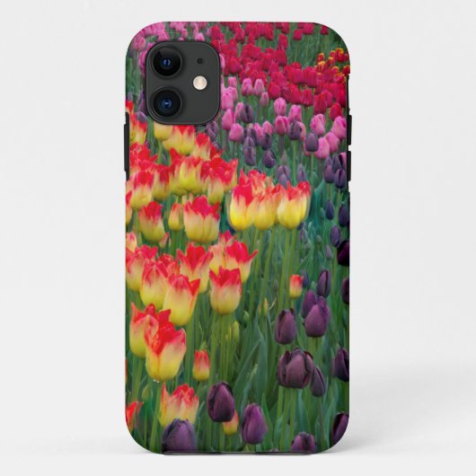 VS, Washington. Bloeiende tulpen 2 Case-Mate iPhone Case (Achterkant)