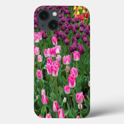 VS, Washington. Bloeiende tulpen Case-Mate iPhone Case (Achterkant)