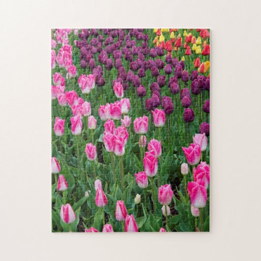 VS, Washington. Bloeiende tulpen Legpuzzel (Verticaal)