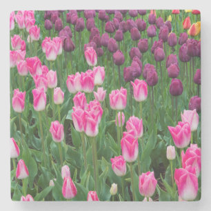 VS, Washington. Bloeiende tulpen Stenen Onderzetter