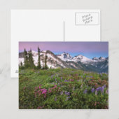 VS, Washington, Cascade Mountains, Noord Briefkaart (Voorkant / Achterkant)