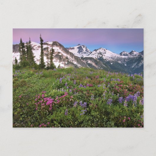 VS, Washington, Cascade Mountains, Noord Briefkaart (Voorkant)