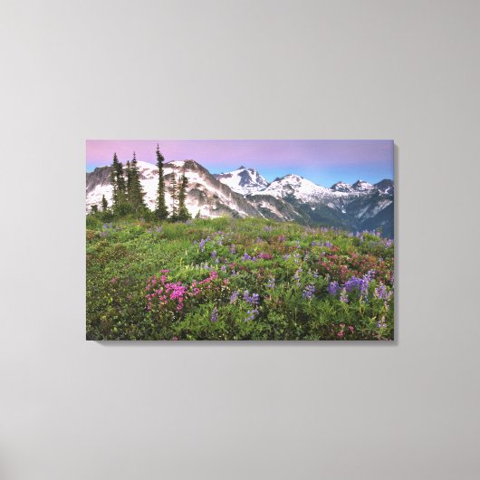 VS, Washington, Cascade Mountains, Noord Canvas Afdruk (Voorkant)