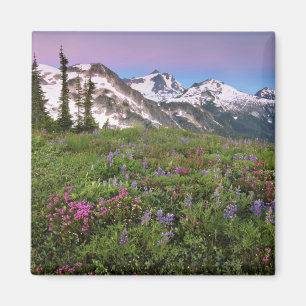 VS, Washington, Cascade Mountains, Noord Magneet