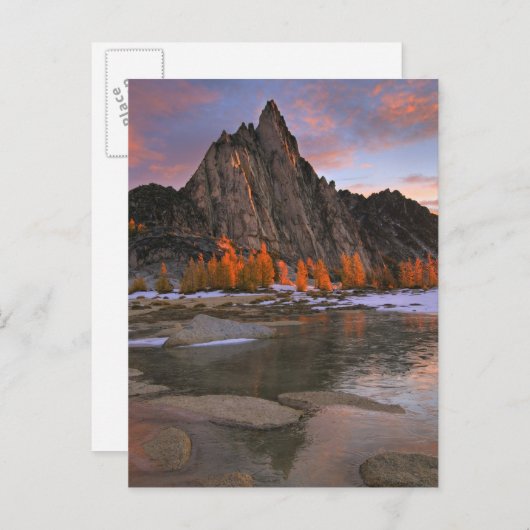 VS, Washington, Cascade Mountains.  Piekpiek Briefkaart (Voorkant / Achterkant)