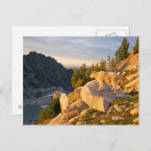 VS, Washington, Cascade Range 4 Briefkaart (Voorkant / Achterkant)