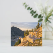 VS, Washington, Cascade Range 4 Briefkaart (Staand voorkant)