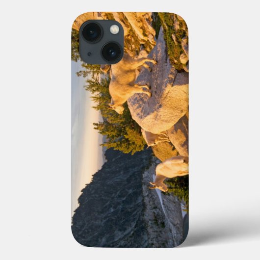 VS, Washington, Cascade Range 4 Case-Mate iPhone Case (Achterkant)