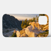 VS, Washington, Cascade Range 4 Case-Mate iPhone Case (Achterkant (horizontaal))