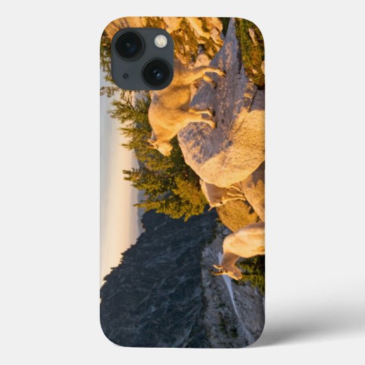 VS, Washington, Cascade Range 4 Case-Mate iPhone Case (Achterkant)