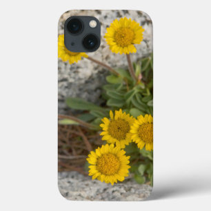 VS, Washington, Cascade Range 5 iPhone 13 Hoesje