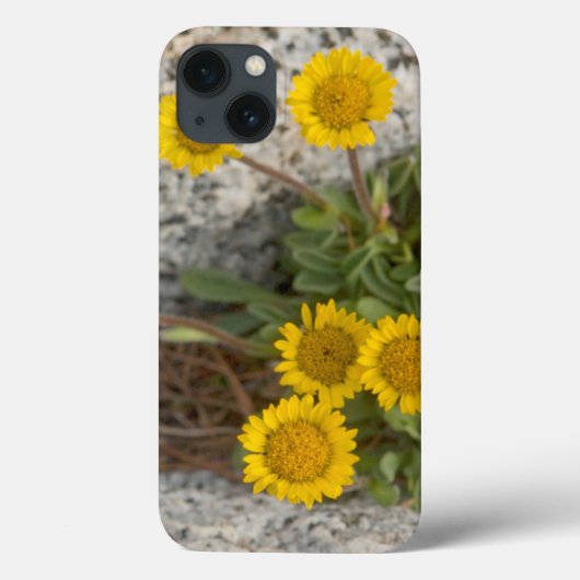 VS, Washington, Cascade Range 5 Case-Mate iPhone Case (Achterkant)