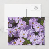 VS, Washington, Cascade Range 6 Briefkaart (Voorkant / Achterkant)