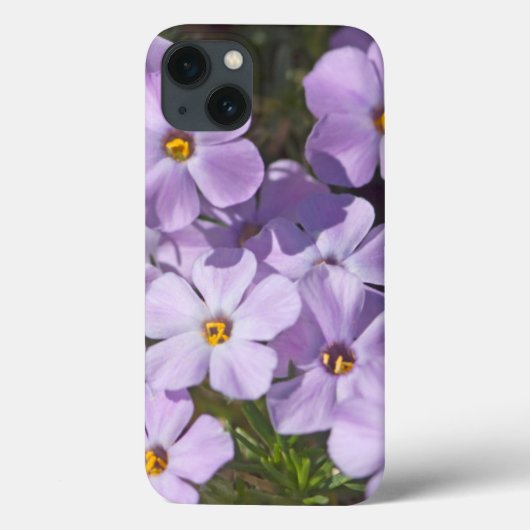 VS, Washington, Cascade Range 6 Case-Mate iPhone Case (Achterkant)