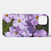 VS, Washington, Cascade Range 6 Case-Mate iPhone Case (Achterkant (horizontaal))