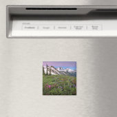 VS, Washington, Cascadegebergte, Noord Magneet (Insitu (Vaatwasser))
