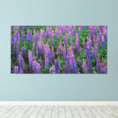 VS, Washington, Clallam County, Lupine Canvas Afdruk (Insitu (Houten vloer))