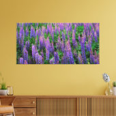 VS, Washington, Clallam County, Lupine Canvas Afdruk (Insitu (Woonkamer))