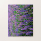 VS, Washington, Clallam County, Lupine Legpuzzel (Verticaal)