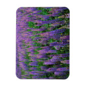 VS, Washington, Clallam County, Lupine Magneet (Verticaal)