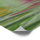 VS, Washington, Close-up abstract van California Poster (Hoek)
