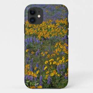 VS, Washington, Columbia River Gorge National iPhone 11 Hoesje