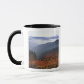 VS, Washington, Columbia River Gorge National Mok (Links)