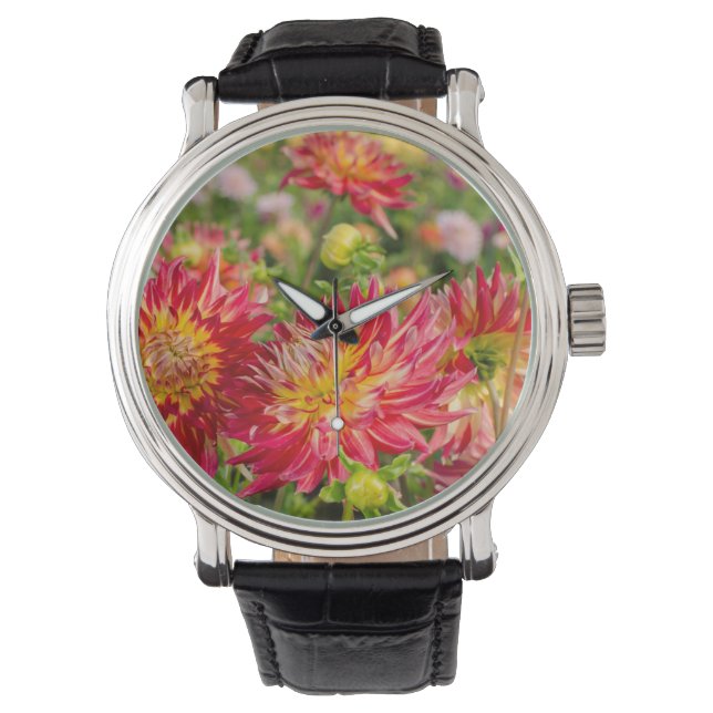 VS, Washington. Dahlia Flowers in de tuin Horloge (Voorkant)
