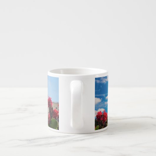 VS, Washington DC, Capitol Building Espresso Kop (Achterkant)