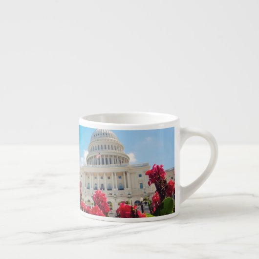 VS, Washington DC, Capitol Building Espresso Kop (Rechts)