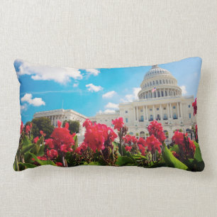 VS, Washington DC, Capitol Building Kussen